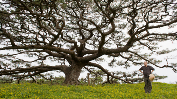 Photo from the movie Karakara