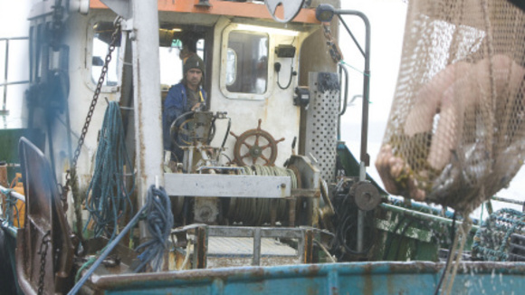 Photo du film Ondine