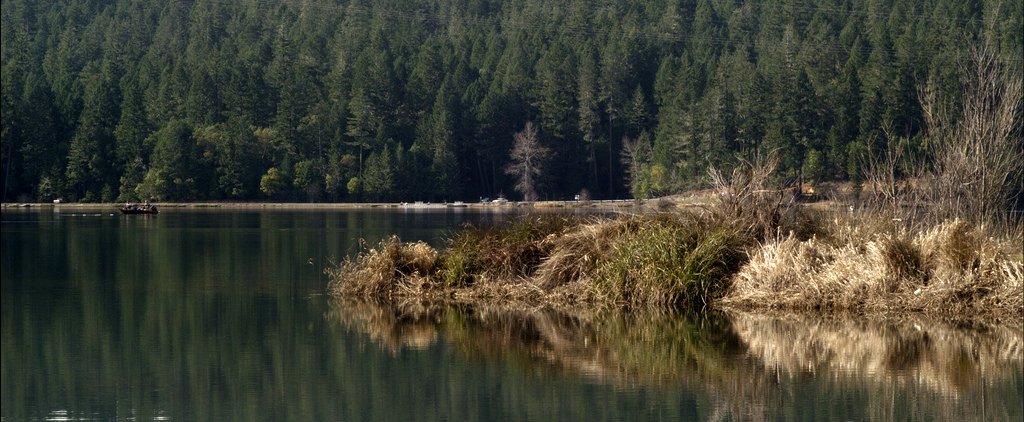 Photo du film Redwood Highway