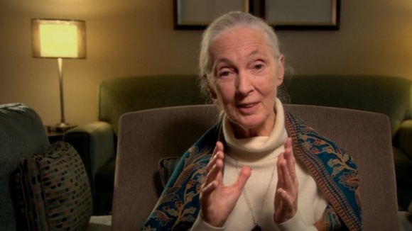 Photo du film Survivre au progrès