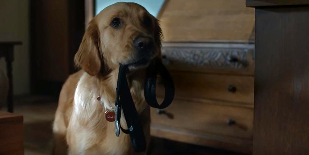 Photo from the movie L'Art de courir sous la pluie