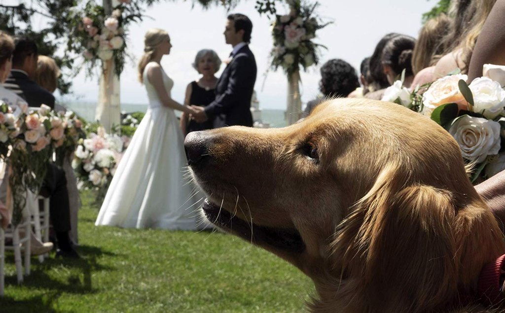 Photo from the movie L'Art de courir sous la pluie