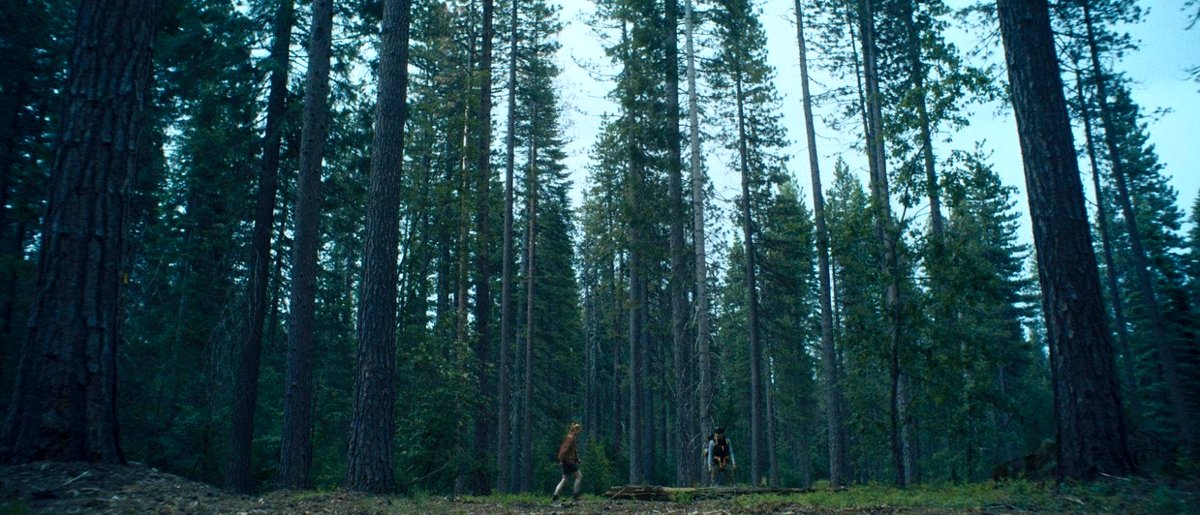 Photo du film To Die Alone [2024]