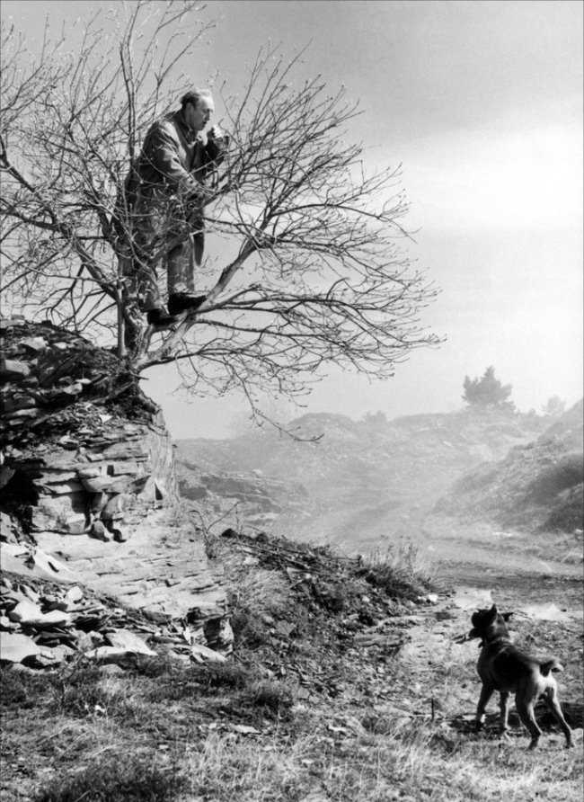 Photo from the movie The Big Scare