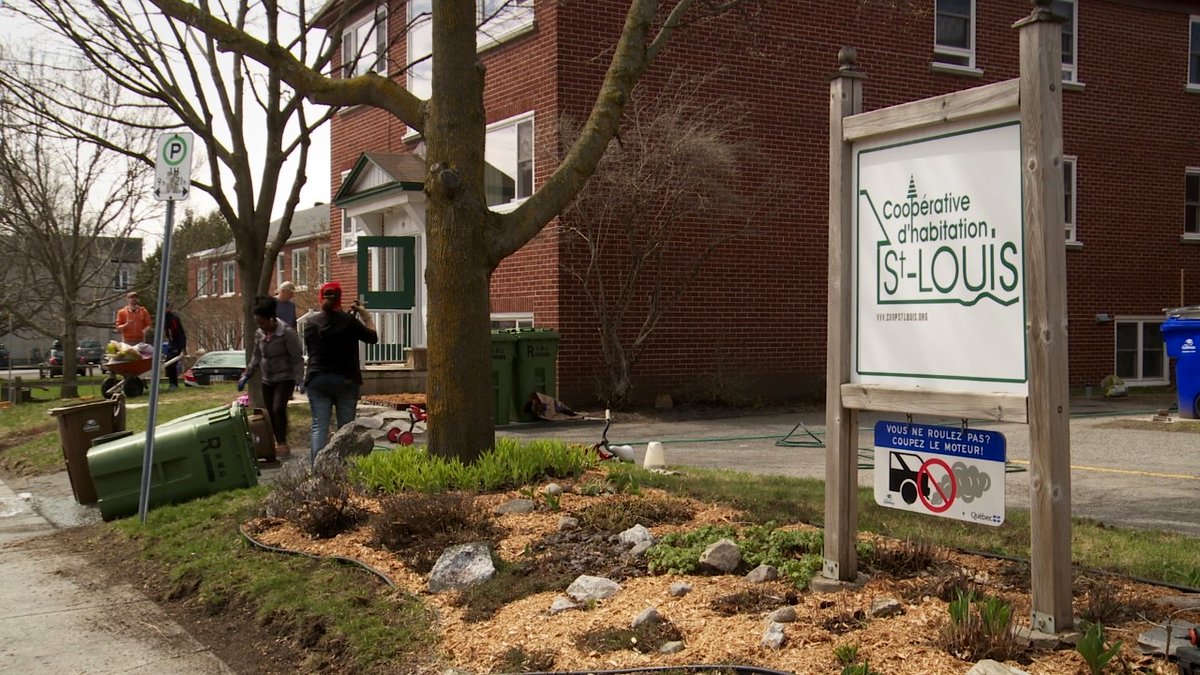 Photo du film La coop de ma mère [2021]