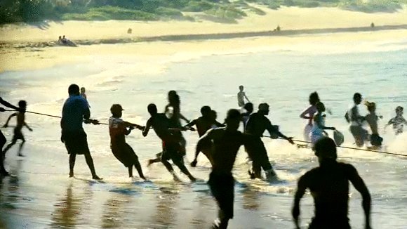 Photo from the movie Wild Ocean