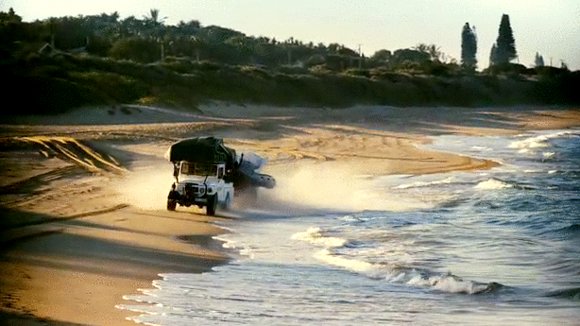 Photo from the movie Wild Ocean