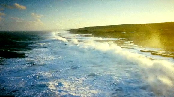 Photo from the movie Wild Ocean