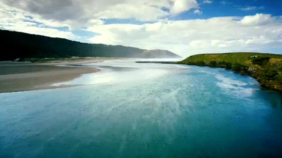 Photo from the movie Wild Ocean