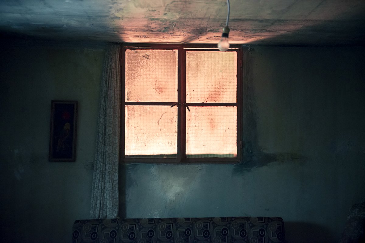 Photo from the movie Jeedar El Sot [2019]