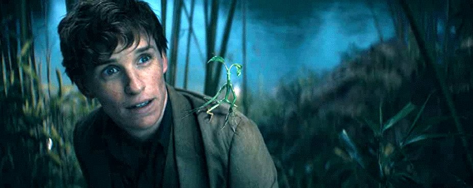 Photo du film Les Animaux fantastiques: Les secrets de Dumbledore [2022]