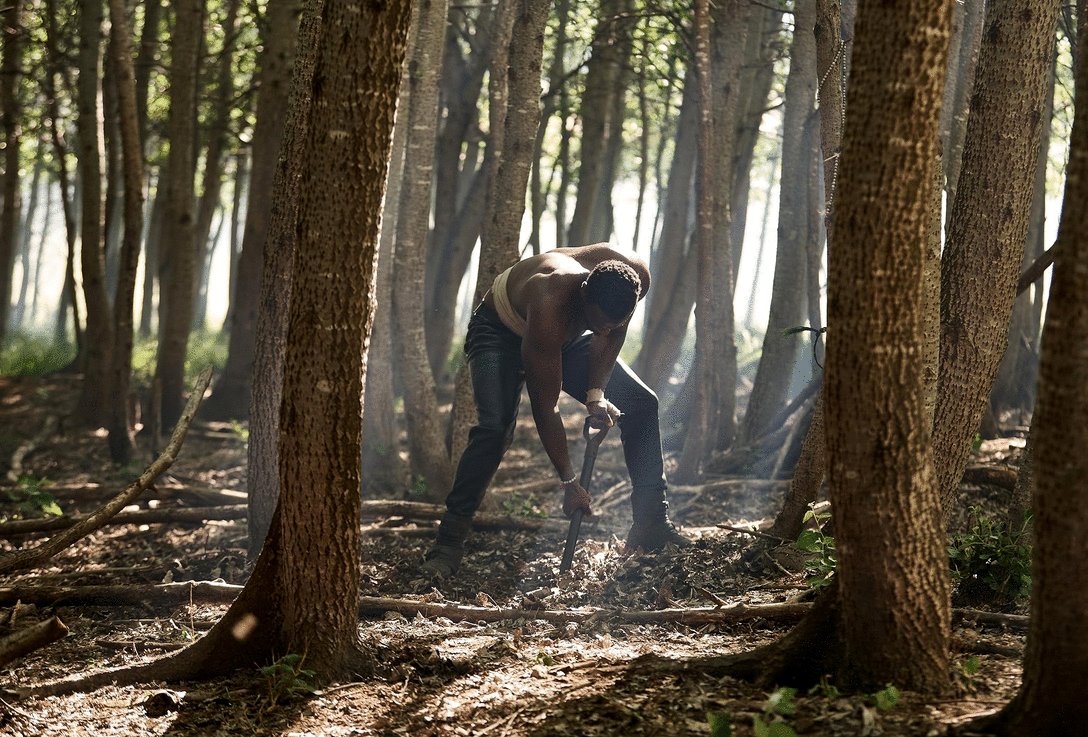 Photo du film Heart of the Hunter [2024]