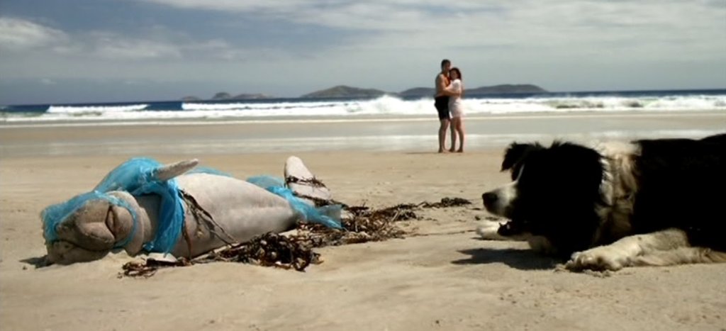 Photo from the movie Long Weekend