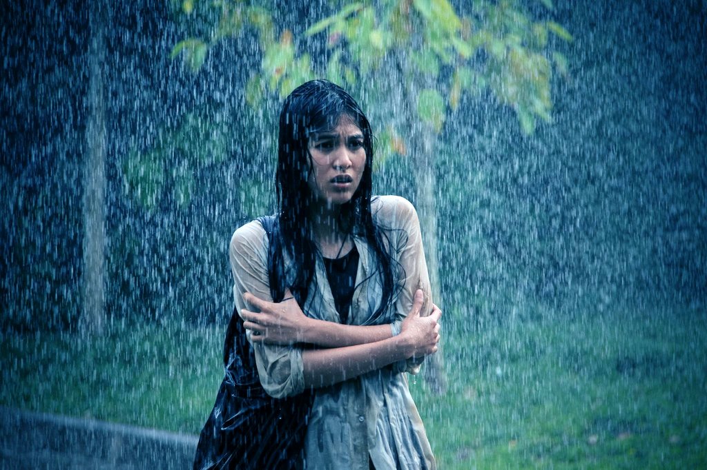 Photo du film The Housemaid [2016]