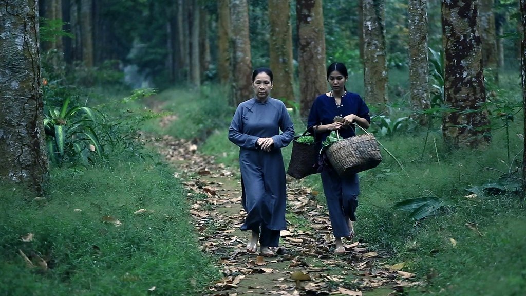 Photo du film The Housemaid [2016]