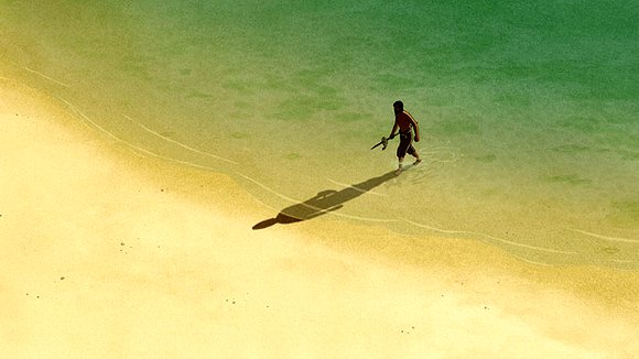 Photo du film La tortue rouge