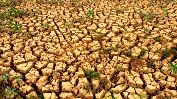 Photo du film Time to Choose