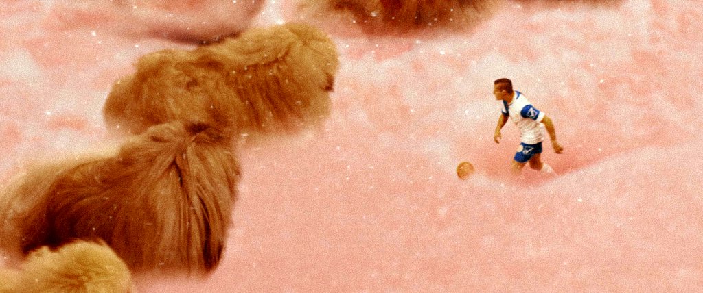 Photo from the movie Diamantino [2018]