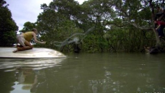 Photo from the movie Black Water [2007]