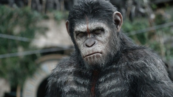 Photo from the movie L'Aube de la planète des singes