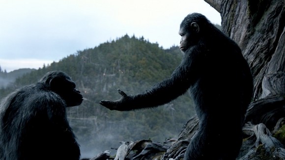 Photo from the movie L'Aube de la planète des singes