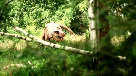 Photo from the movie Extinction [2014]