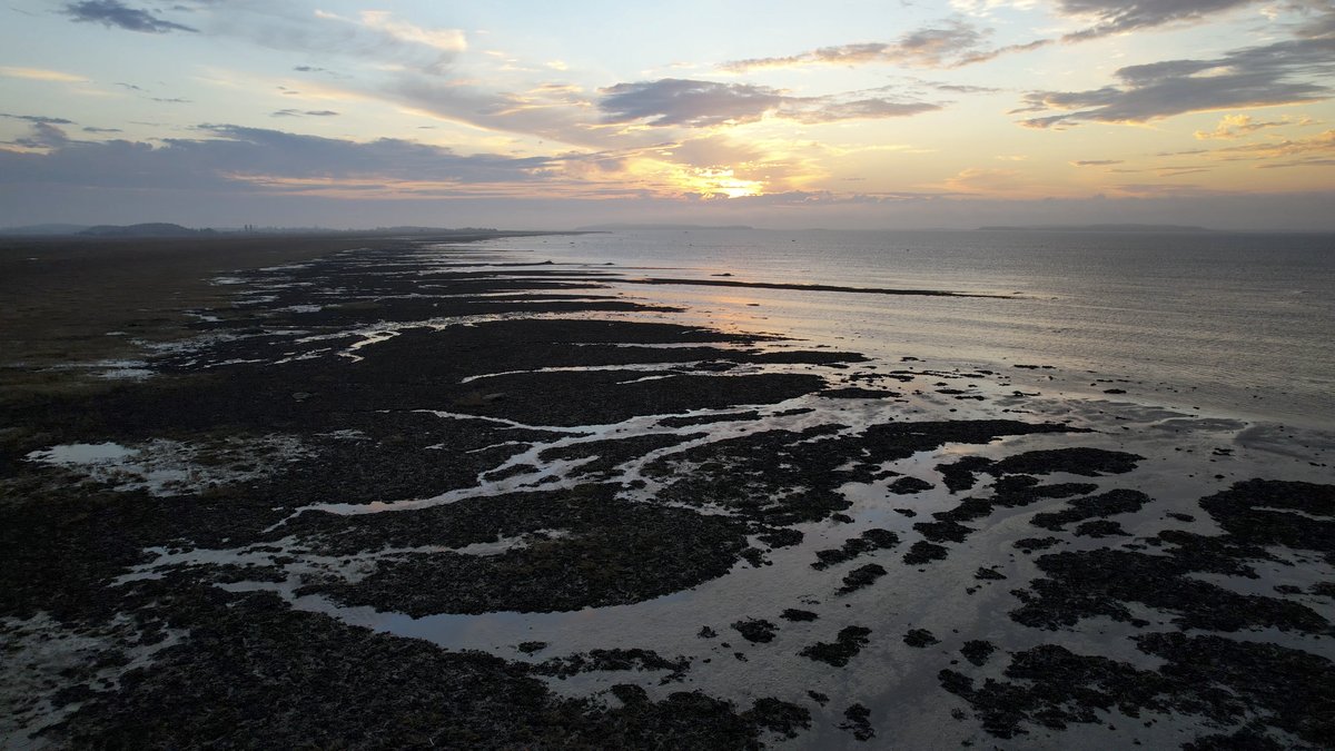Photo du film L'océan vu du coeur [2023]