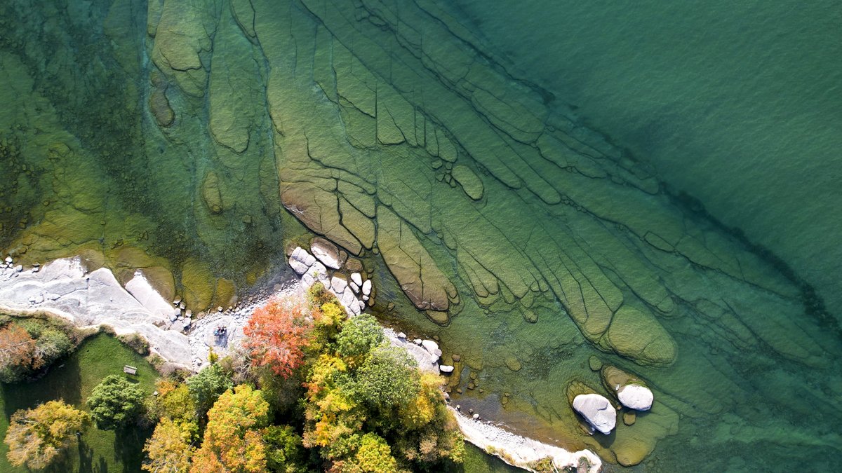 Photo du film L'océan vu du coeur [2023]