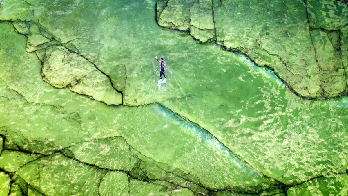 Photo du film L'océan vu du coeur [2023]