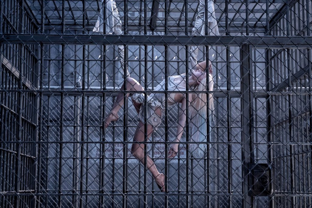 Photo du film L'Escadron Suicide