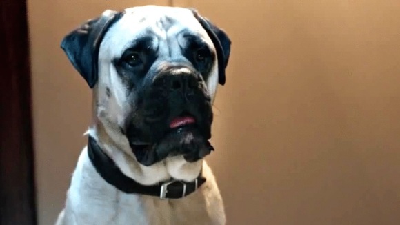 Photo from the movie Les Voix