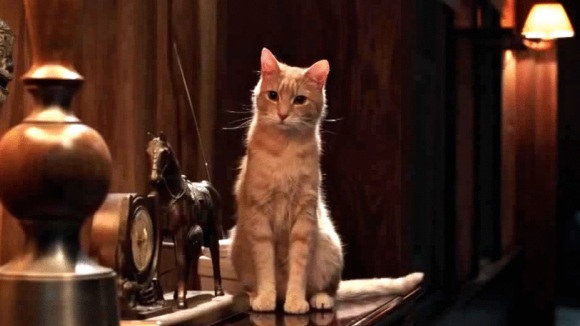 Photo from the movie Les Voix