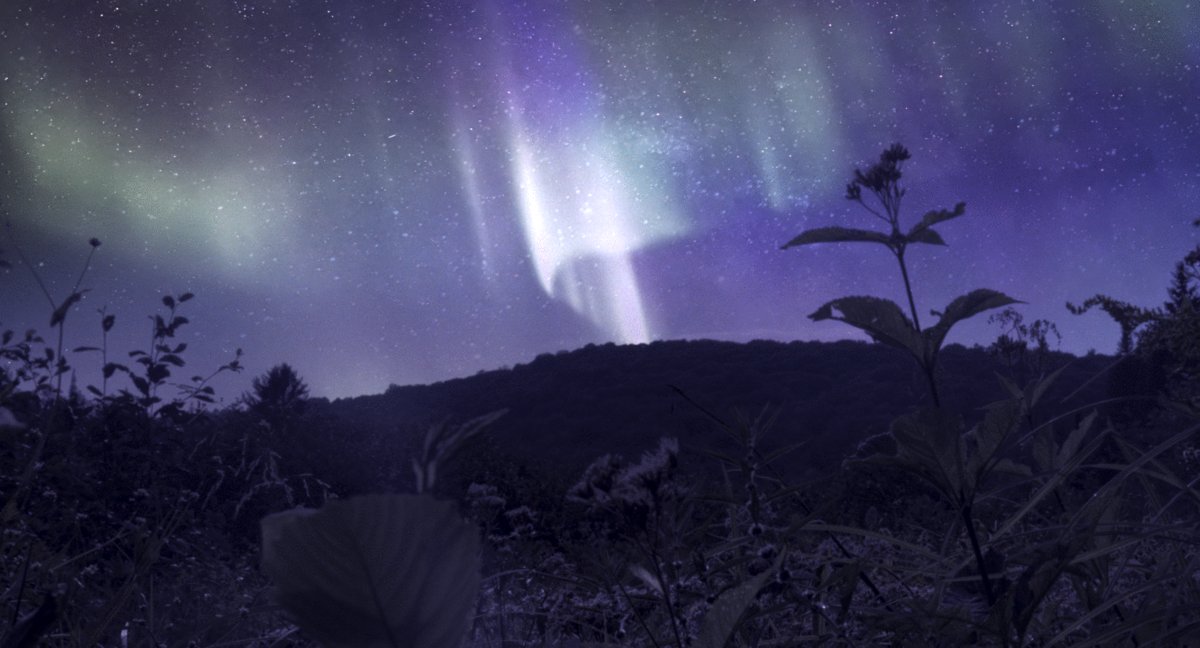 Photo du film Wild Feast [2023]