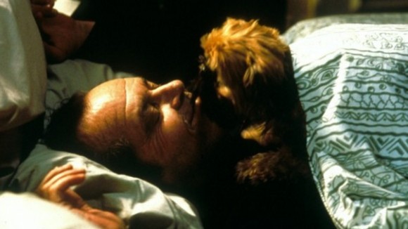 Photo du film As Good As It Gets