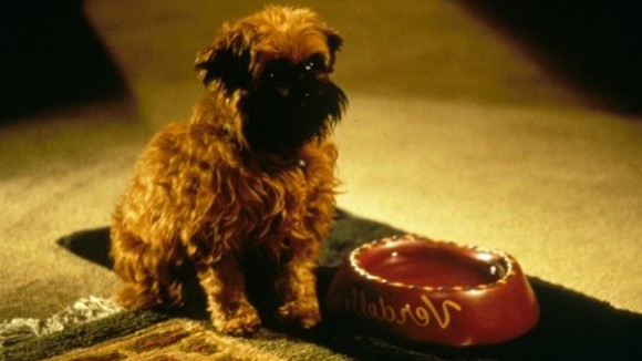 Photo du film As Good As It Gets