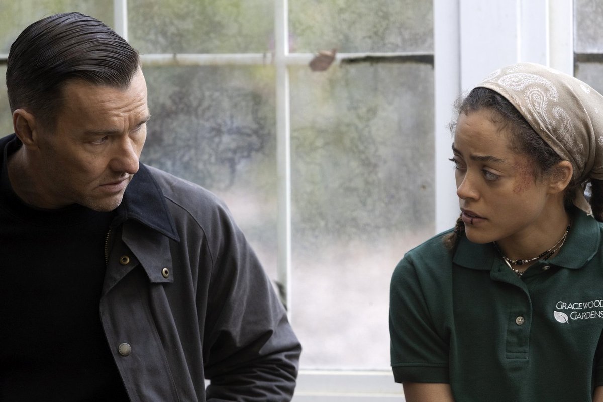 Photo du film Les racines de la violence