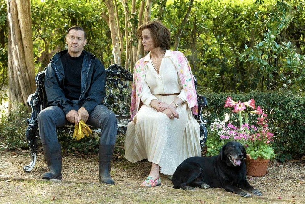 Photo du film Les racines de la violence