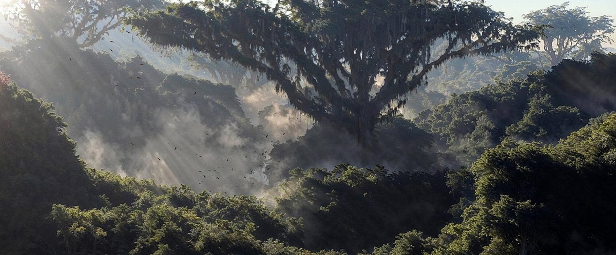 Photo du film The Ark and the Darkness [2024]