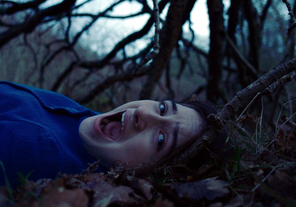 Photo from the movie L'Autre agneau [2019]
