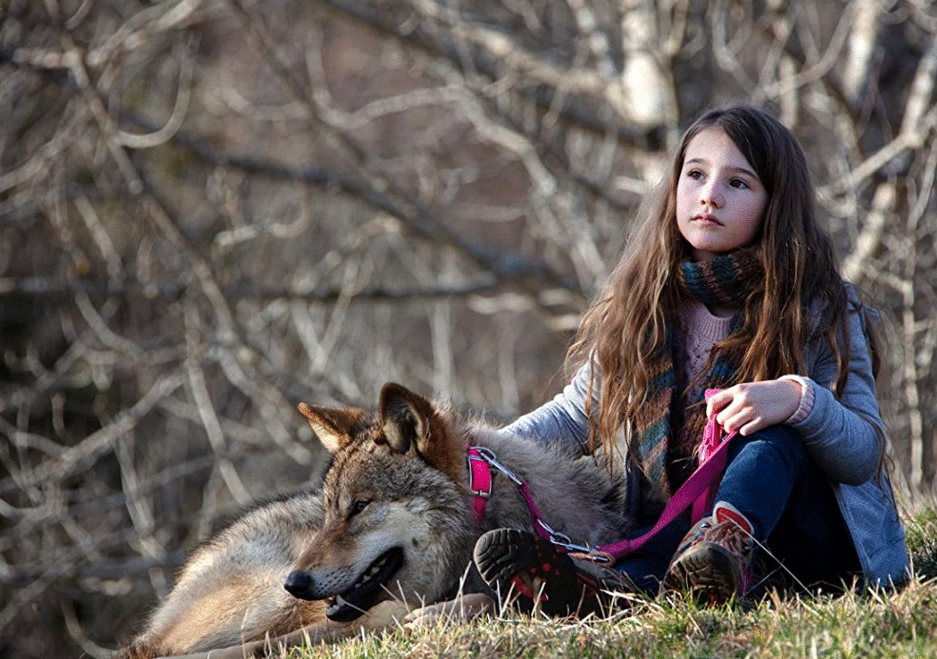 Photo from the movie Vicky and Her Mystery [2021]