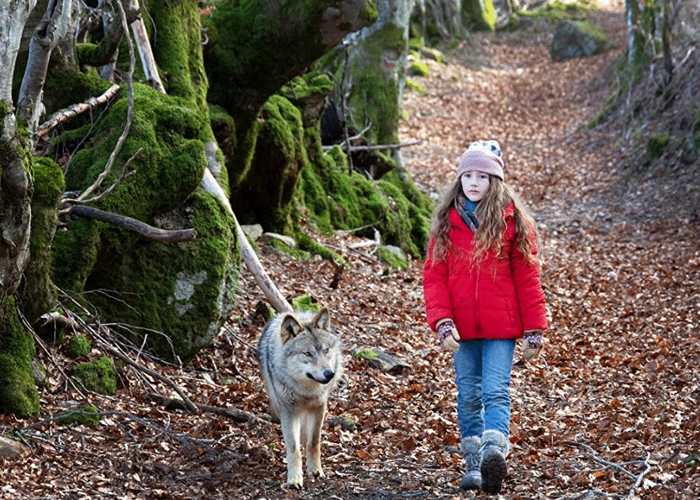 Photo from the movie Vicky and Her Mystery [2021]