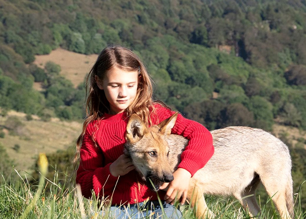 Photo from the movie Vicky and Her Mystery [2021]