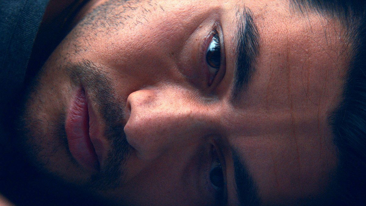 Photo from the movie Daniela Forever [2024]