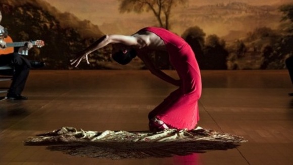 Photo from the movie Flamenco Flamenco [2010]