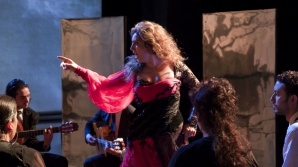 Photo from the movie Flamenco Flamenco [2010]