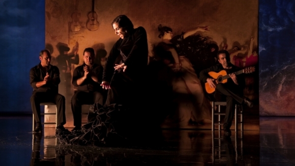 Photo from the movie Flamenco Flamenco [2010]