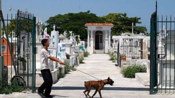 Photo from the movie Lake Tahoe [2008]