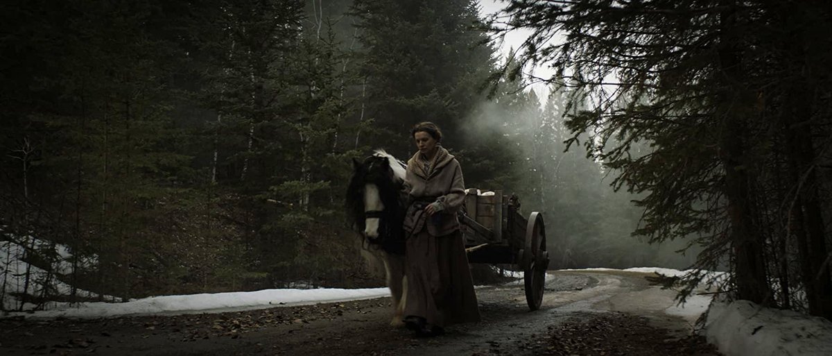 Photo du film The Curse of Audrey Earnshaw