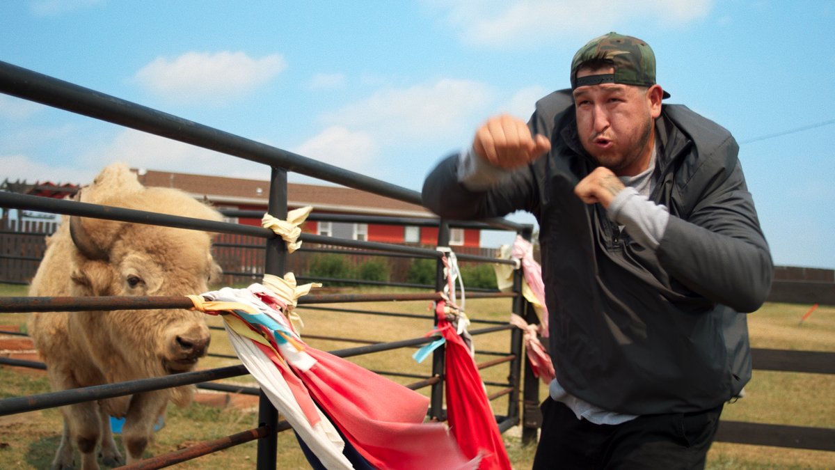 Photo from the movie Siksikakowan: The Blackfoot Man [2025]