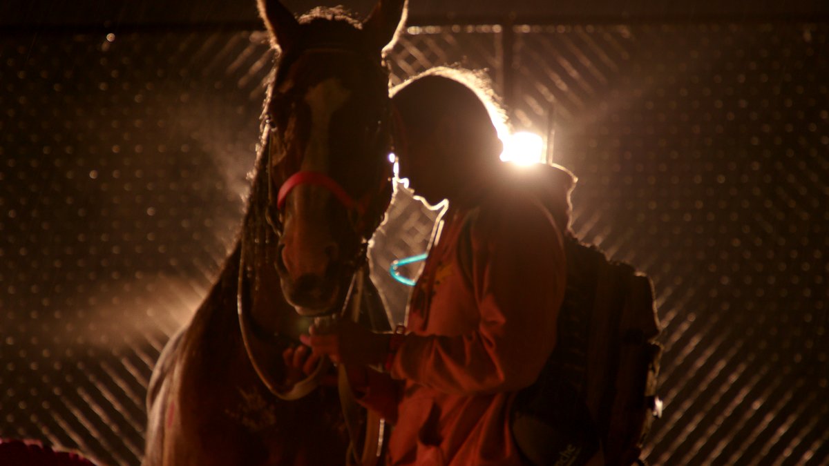 Photo from the movie Siksikakowan: The Blackfoot Man [2025]